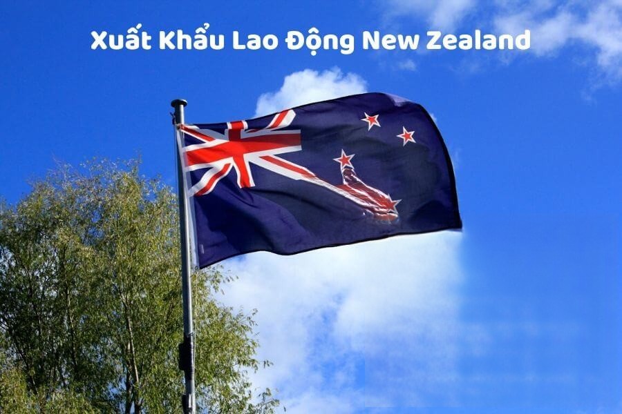 Xuất Khẩu Lao Động New Zealand 2023 - Tất Tần Tật Từ A - Z - Xuất Khẩu Lao Động Việt Nam